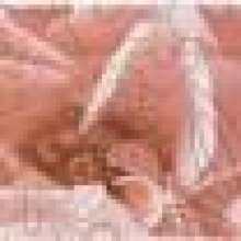 Контарини Бордюр Цветы обрезной STG\A595\13032R 30х7,2