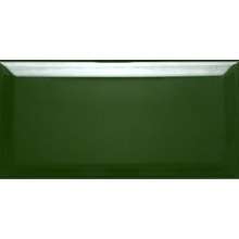 Biselado Botella Brillo 10x20 Dar Ceramics