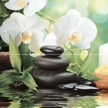Spa P2D234 Панно из 2-х плиток 30х40