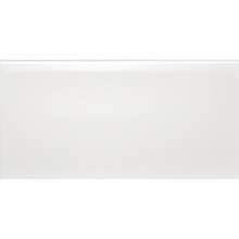 Liso Blanco Brillo 10x20 Dar Ceramics
