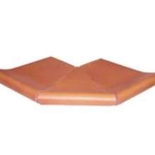 Cartabon Borde Piscina Ext Rodamanto