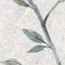 Olezia grey light border 01