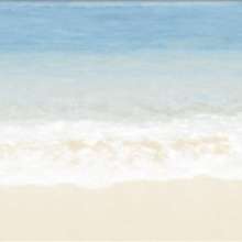 Dec Tropic 4 Декор КВС16Tropic4 25х45