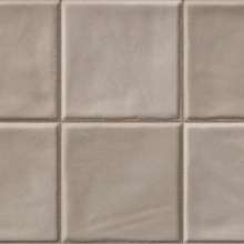 Madison Ten Silver 20x50