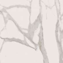Керамогранит Charme Evo Floor Project Calacatta 30x60