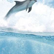 Porto Dolphins B Панно 100x60 (4пл)