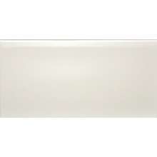 Liso Hueso Brillo/Mate 10x30 Dar Ceramics