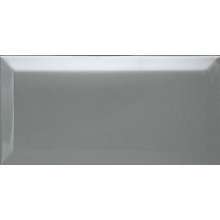 Biselado Plata Mate 10x30