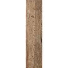  Kampas Dune 24x95 