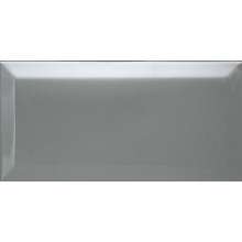 Biselado Plata Brillo 10x20 Dar Ceramics