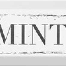 Mint Декор чёрный NT\B38\2882 8,5х28,5