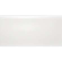 Liso Blanco Mate 30x10