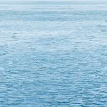 Dec Regata 5 Декор КВС16Regata5 25х45