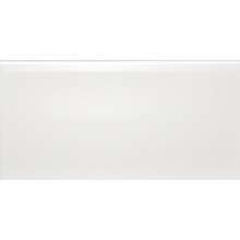 Liso Blanco Mate 7.5x15