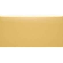 Liso Mostaza Mate 10x30
