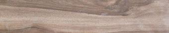 Керамогранит WY21095 20х100
