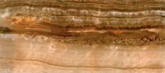 ANTARES (Коричневая) 134462