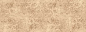 Arno Плитка настенная TWU06ARO404 15х40
