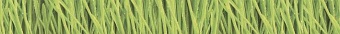 Porto Snowdrop listwa Бордюр 6х60