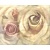 Декор Decor Rosa Crema 2x20x50 (40x50)   &ndash; Halcon Ceramicas