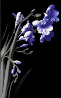 Spring czarny 2 centro Декор 25х40