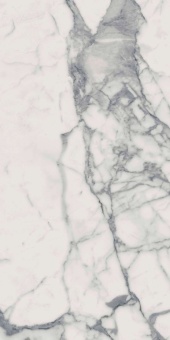Керамогранит Charme Evo Floor Project Statuario 44x80