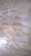 Legend Decore Titanium 25.2x80 Legend Decore Titanium 25.2x80