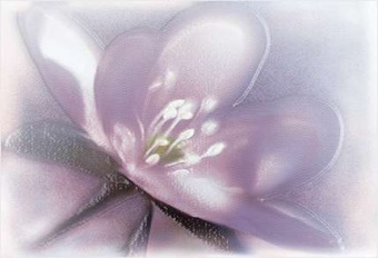 Лила Декор ВС7ЛЛ023 / DWU07LIL023 36,4х24,9