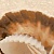 Аликанте Декор 07-00-5-10-00-11-121 25х50