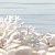 Дель маре Декор ВС9ДМ624 /DWU09DLM624 24,9х50