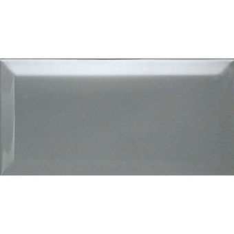 Biselado Plata Brillo 10x20 Dar Ceramics