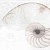 Nautilus панно ракушка многоцветный (NT2F453DT) 40x60