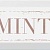 Mint Декор карамель NT\C38\2882 8,5х28,5