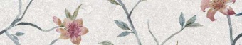 Olezia grey light border 01