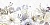 Lima Декор DWU09LIM006 24,9х50