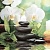 Spa P2D234 Панно из 2-х плиток 30х40