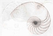 Nautilus панно ракушка многоцветный (NT2O453DT) 39,6x59,8