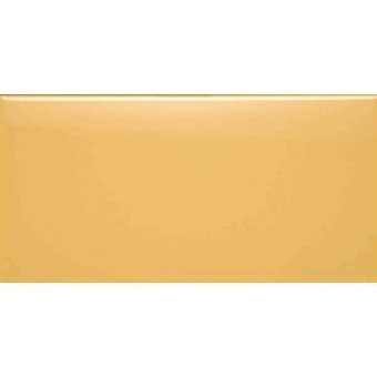 Liso Mostaza Mate 10x30