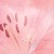 Lily Бордюр B300D154 30х4,5