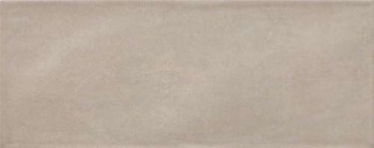 Madison Silver 20x50