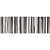 Decor Vision Gris 25x75