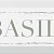 NT\A36\9001 Декор для стен Bazil зелёный 8,5x28,5