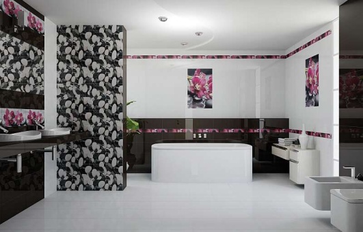 City Orchid