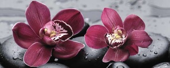 City Orchid Centro Декор 20x50