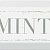 Mint Декор зелёный NT\A38\2882 8,5х28,5