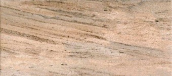 134862 CHAMPAN (Коричневая)