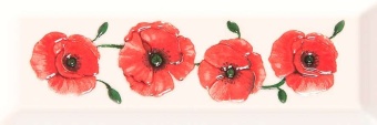 Rosso white 01 Декор 10x30