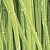 Porto Snowdrop listwa Бордюр 6х60
