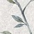 Olezia grey light border 01