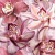 Porto Flowers "Orchid lila" Панно 50x60 (2пл)